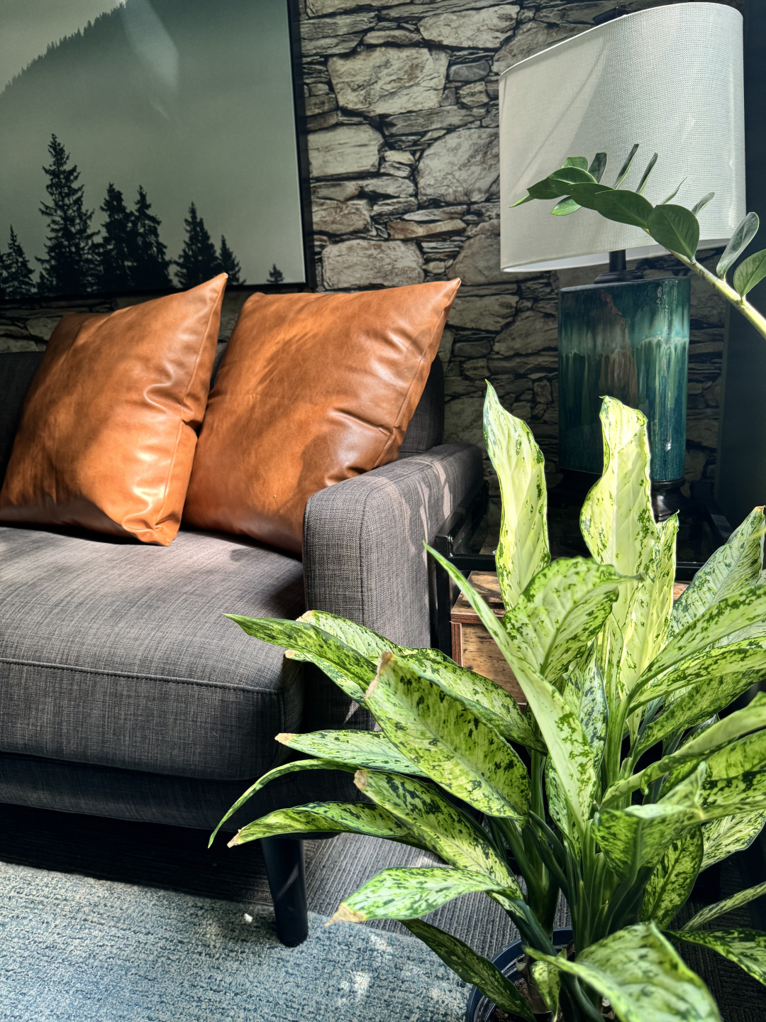 Cozy living room with sofa, lamp, and plant.