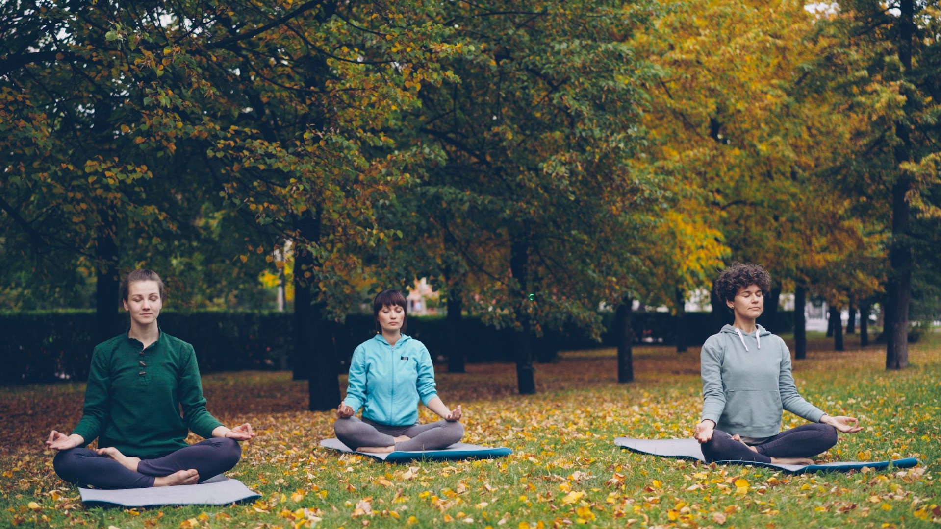 Three women meditating outdoors in autumn park.