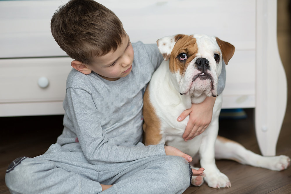 Child hugging a bulldog inside a room