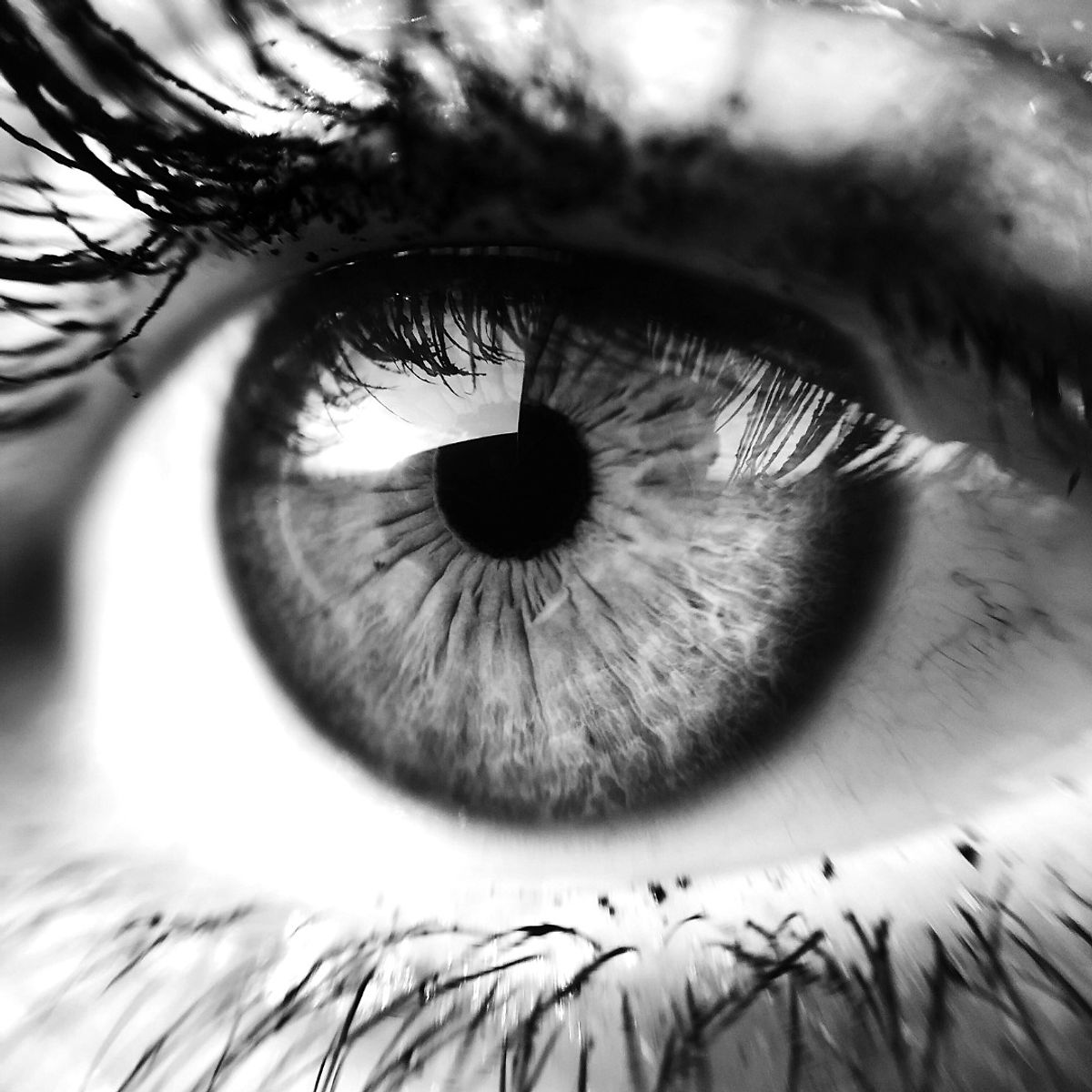 EMDR Therapy at Creating Space Therapy in Batavia, Illinois