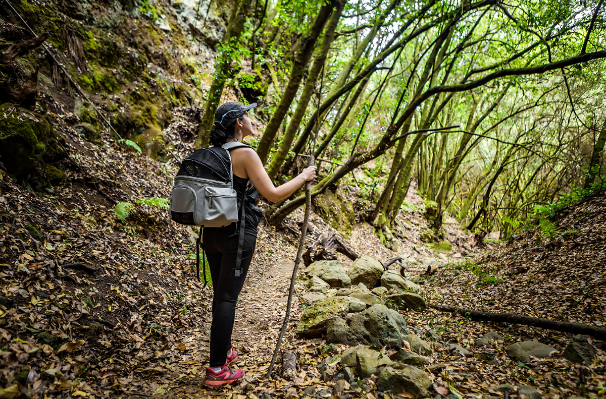 Trauma therapy with Parts Work/IFS at Creating Space Therapy