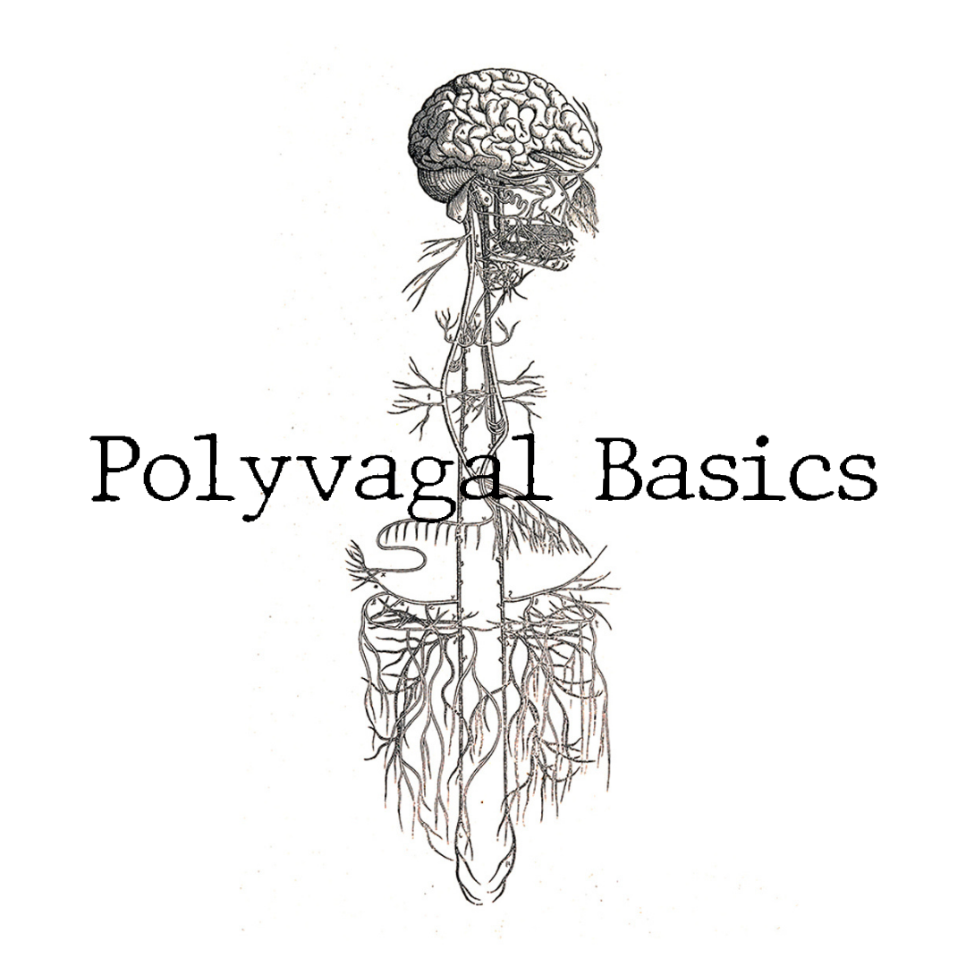 Polyvagal theory illustration with nervous system diagram.